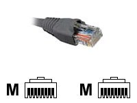 Nexxt patch cable - 50 ft - gray